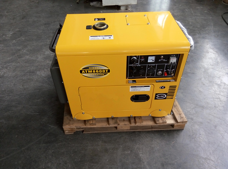generatori diesel di tensione del doppio di monofase di CA 6000W piccoli 12 mesi di garanzia